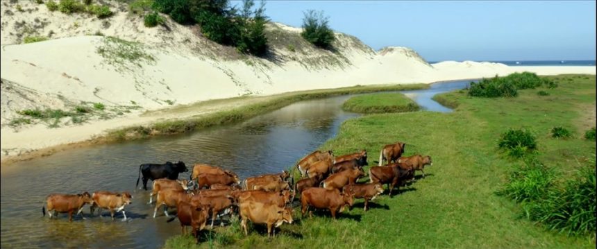 du lich phu yen 860x359