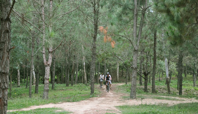 Đà Lat ở Phú Yên